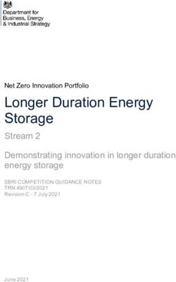 Longer Duration Energy Storage - Stream 2 Demonstrating innovation in longer duration energy storage