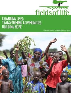 Introducing our strategy for 2017-2021 - Fields of Life