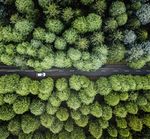 Biotech Review of the Year - Issue 8