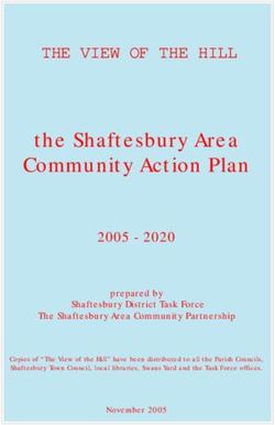 The Shaftesbury Area Community Action Plan