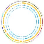CELL LINEAGE ANALYSIS IN HUMANS - From Department of Cell and Molecular Biology Karolinska Institutet, Stockholm, Sweden - KI Open Archive