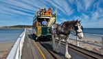 Rail Tour of South Australia - A choice of two depatures - Travelrite