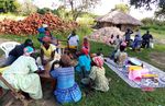 BRIEFING NOTE - Plant biodiversity is key to ensuring family farmers' food and nutrition security and resilience in response to the COVID-19 ...