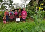 BRIEFING NOTE - Plant biodiversity is key to ensuring family farmers' food and nutrition security and resilience in response to the COVID-19 ...
