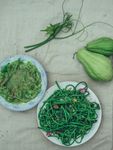 BRIEFING NOTE - Plant biodiversity is key to ensuring family farmers' food and nutrition security and resilience in response to the COVID-19 ...