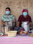 BRIEFING NOTE - Plant biodiversity is key to ensuring family farmers' food and nutrition security and resilience in response to the COVID-19 ...