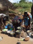 BRIEFING NOTE - Plant biodiversity is key to ensuring family farmers' food and nutrition security and resilience in response to the COVID-19 ...