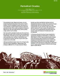 Periodical Cicadas - University of Tennessee Extension