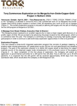 Torq Commences Exploration on its Margarita Iron-Oxide-Copper-Gold Project in Nothern Chile