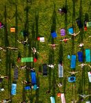 Vhi Health Insights The corporate social network: employee engagement and well-being in a changing workplace - CIPD