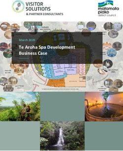 Te Aroha Spa Development Business Case - March 2020 & PARTNER CONSULTANTS - Matamata-Piako ...