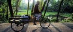 ROAD SAFETY IN THE SOUTH-EAST ASIA REGION 2015 - World Health ...
