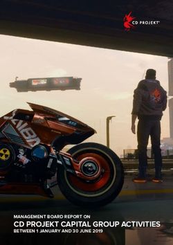 CD PROJEKT CAPITAL GROUP ACTIVITIES - MANAGEMENT BOARD REPORT ON