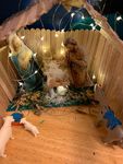 SJS JOURNAL NEWS & FEATURES - St. Joseph School