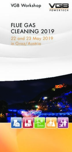 FLUE GAS CLEANING 2019 - 22 and 23 May 2019 in Graz/Austria VGB Workshop - VGB PowerTech