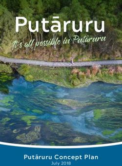 Putāruru It's all possible in Putaruru - Putāruru Concept Plan
