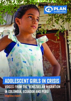 Adolescent girls in crisis - Voices from the venezuelan migration in colombia, ecuador and peru Regional report - Plan International