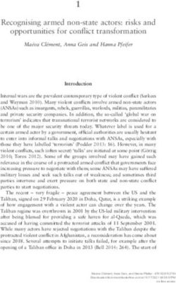 Recognising armed non-state actors: risks and opportunities for conflict transformation - Armed non ...