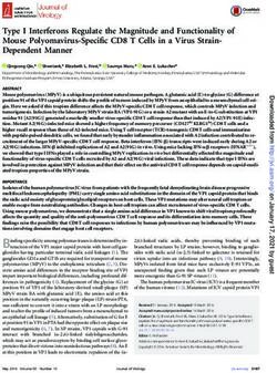 Type I Interferons Regulate the Magnitude and Functionality of Mouse Polyomavirus-Specific CD8 T Cells in a Virus Strain-Dependent Manner