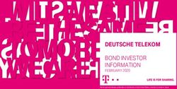 Deutsche Telekom Bond Investor Information - February 2020