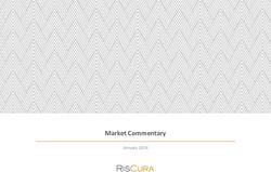 MARKET COMMENTARY JANUARY 2019 - RISCURA