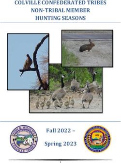 COLVILLE CONFEDERATED TRIBES NON-TRIBAL MEMBER HUNTING SEASONS - Fall 2022 - Spring 2023