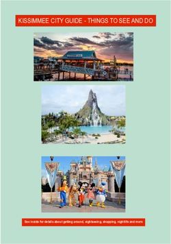 KISSIMMEE CITY GUIDE - THINGS TO SEE AND DO - SEE INSIDE FOR DETAILS ABOUT GETTING AROUND, SIGHTSEEING, SHOPPING, NIGHTLIFE AND MORE - GOBYSA