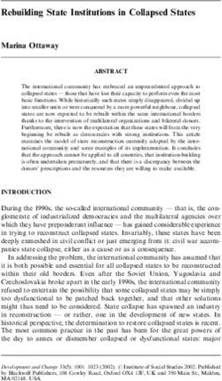 Rebuilding State Institutions in Collapsed States