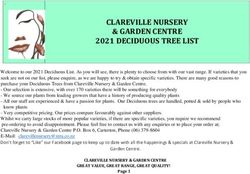 CLAREVILLE NURSERY & GARDEN CENTRE 2021 DECIDUOUS TREE LIST