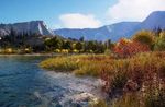 THE PLANET PLAYING FOR - HOW VIDEO GAMES CAN DELIVER FOR PEOPLE AND THE ENVIRONMENT