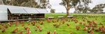 WATTLE RANGE COUNCIL STRATEGIC PLAN 2018-2021