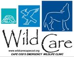 To learn more about Wild Care, visit our - Wild Care | Cape Cod