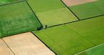 THE BIG PICTURE: CLIMATE CHANGE - What lies ahead in 2020? February 2020