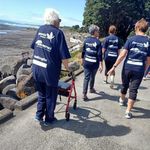 Addressing the needs of Chinese with dementia: A cross-community organisation and academic approach - eCALD