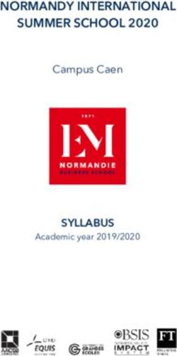 NORMANDY INTERNATIONAL SUMMER SCHOOL 2020 - SYLLABUS - Campus Caen
