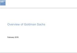 Overview of Goldman Sachs - February 2019