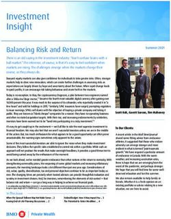 Investment Insight Balancing Risk and Return - BMO Nesbitt Burns