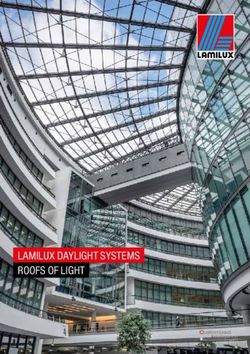 LAMILUX DAYLIGHT SYSTEMS ROOFS OF LIGHT - Customized