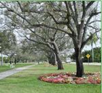 ROADSIDE TREE PLANTING MANUAL - June.2020 - Roads for Water