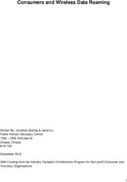 Consumers and Wireless Data Roaming - Public Interest ...