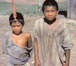 Swine flu and tribal peoples