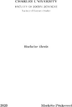 CHARLES UNIVERSITY FACULTY OF SOCIAL SCIENCES - Bachelor thesis 2020