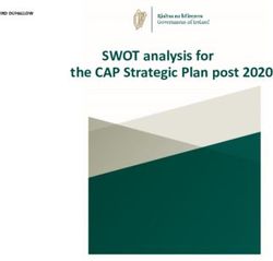 SWOT analysis for the CAP Strategic Plan post 2020