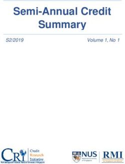 Semi-Annual Credit Summary - S2/2019 - Credit Research Initiative