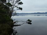 Tasmania in Autumn 2021 - Wattletree Garden Tours