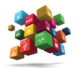 DEVELOPMENT OF THE SUSTAINABILITY STRATEGY FOR THE 2018 FIFA WORLD CUP - IF Sustainability Project