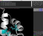 Solving structure from NMR data Analysis 3.0.4 (with Structure alpha) - Picking peaks in NOESY spectra 2. Setting up structure calculations in ...