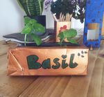 A guide full of hints and tips to help you green your home during lockdown