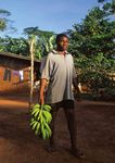 The Banana a fruiT living on Borrowed Time - BTC Trade for developmenT