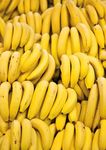 The Banana a fruiT living on Borrowed Time - BTC Trade for developmenT